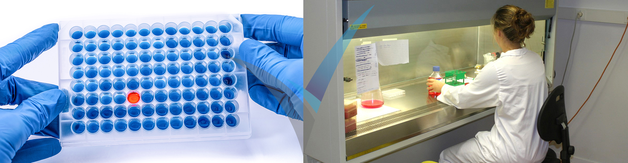 D&eacute;veloppement de r&eacute;actifs diagnostics